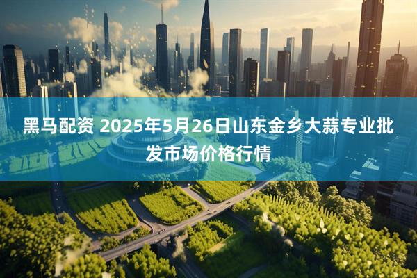 黑马配资 2025年5月26日山东金乡大蒜专业批发市场价格行情