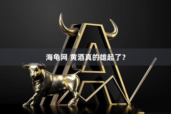 海龟网 黄酒真的雄起了？