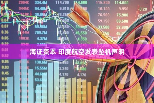 海证资本 印度航空发表坠机声明