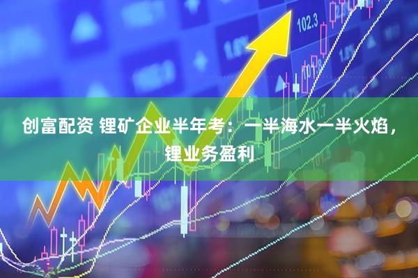 创富配资 锂矿企业半年考：一半海水一半火焰，锂业务盈利