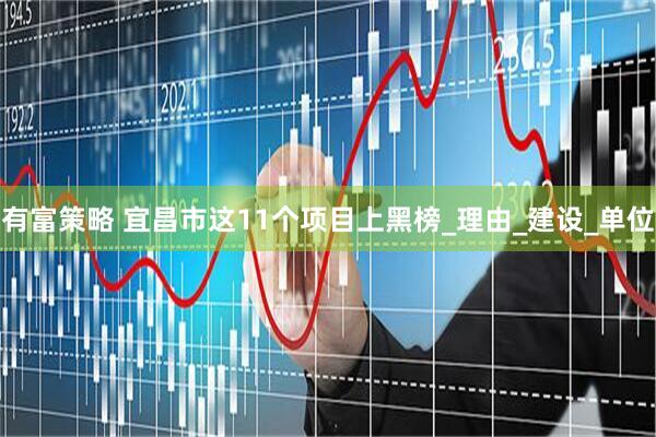 有富策略 宜昌市这11个项目上黑榜_理由_建设_单位