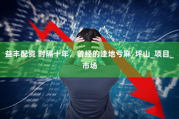 益丰配资 时隔十年，曾经的洼地亏麻_坪山_项目_市场