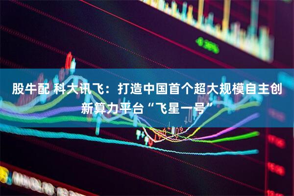 股牛配 科大讯飞：打造中国首个超大规模自主创新算力平台“飞星一号”
