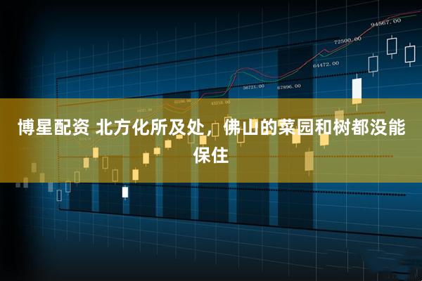 博星配资 北方化所及处，佛山的菜园和树都没能保住