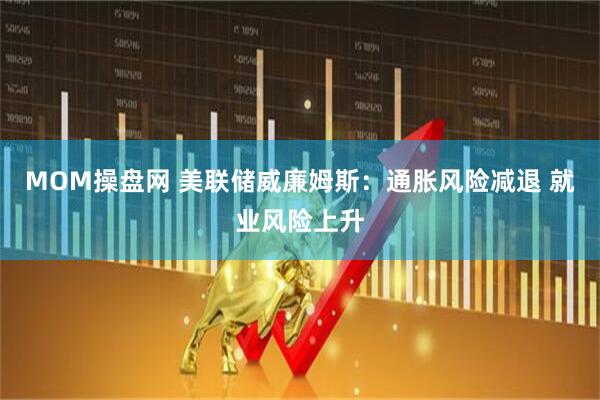 MOM操盘网 美联储威廉姆斯：通胀风险减退 就业风险上升