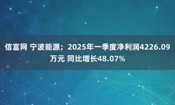 信富网 宁波能源：2025年一季度净利润4226.09万元 同比增长48.07%